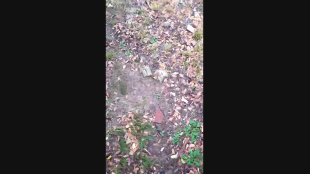 DePamplona  03-09-2023 Recorded Video fuckface